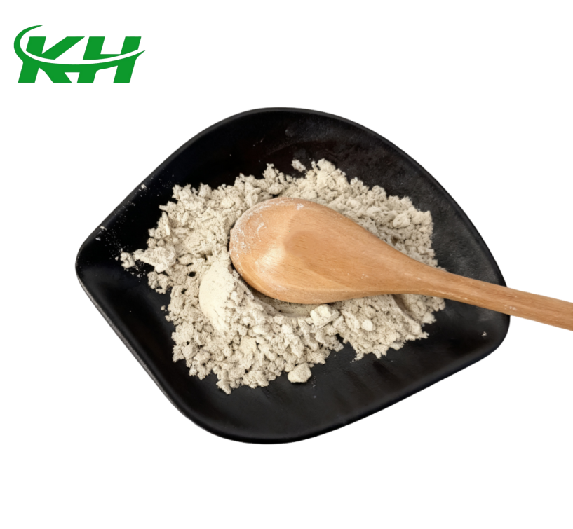 High-quality Food-grade Health Supplement, Natural Plant Extract, Organic Sunflower Protein Powder