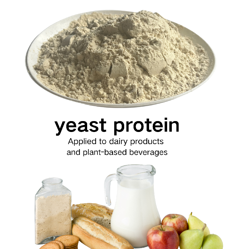 Yeast Protein F88MC Refined Fermented Protein Used in Medical Supplement Probiotic Formula and Health Care