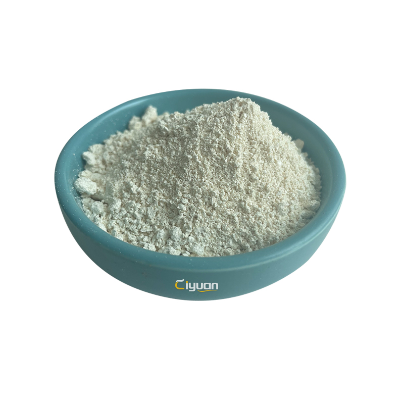 Factory Supplier Pumpkin Seed Protein Powder Pumpkin Seed Protein 10% 60% 70%