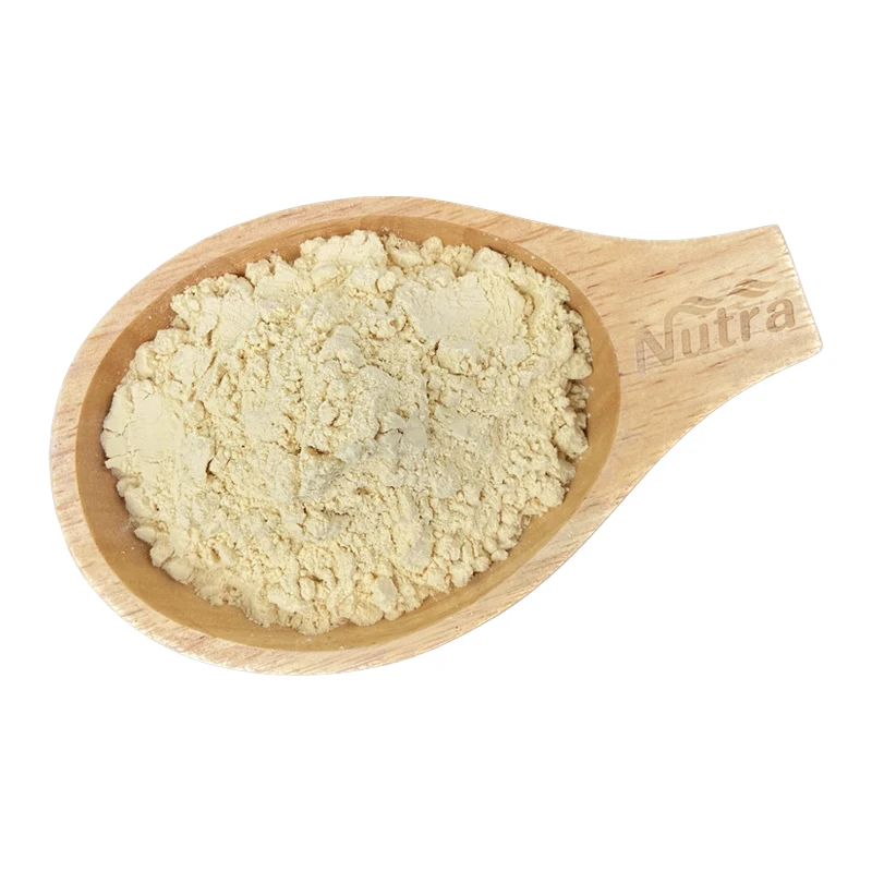 Best Quality Factory Supply Bulk Chickpea Protein Hot Sale Organic Chickpea Protein for Drinking