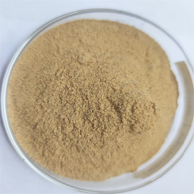 Fermentation Process Soy Protein Hydrolysate Powder with 50% Crude Protein in Animal Feed Applications