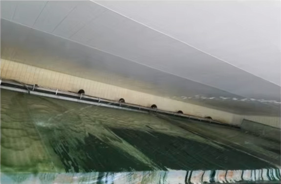 Algae Cultivation Farm