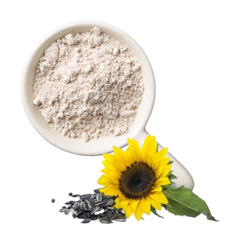 Organic Seed Protein Gluten Free Non-GMO Dairy Free Soy Sugar Free Low Carb Plant Based Sunflower Protein Powder