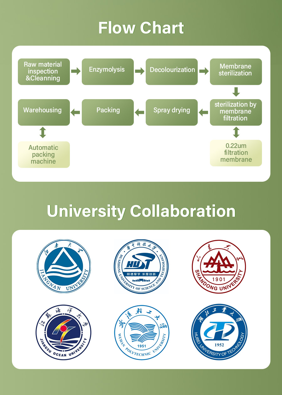 Production Process