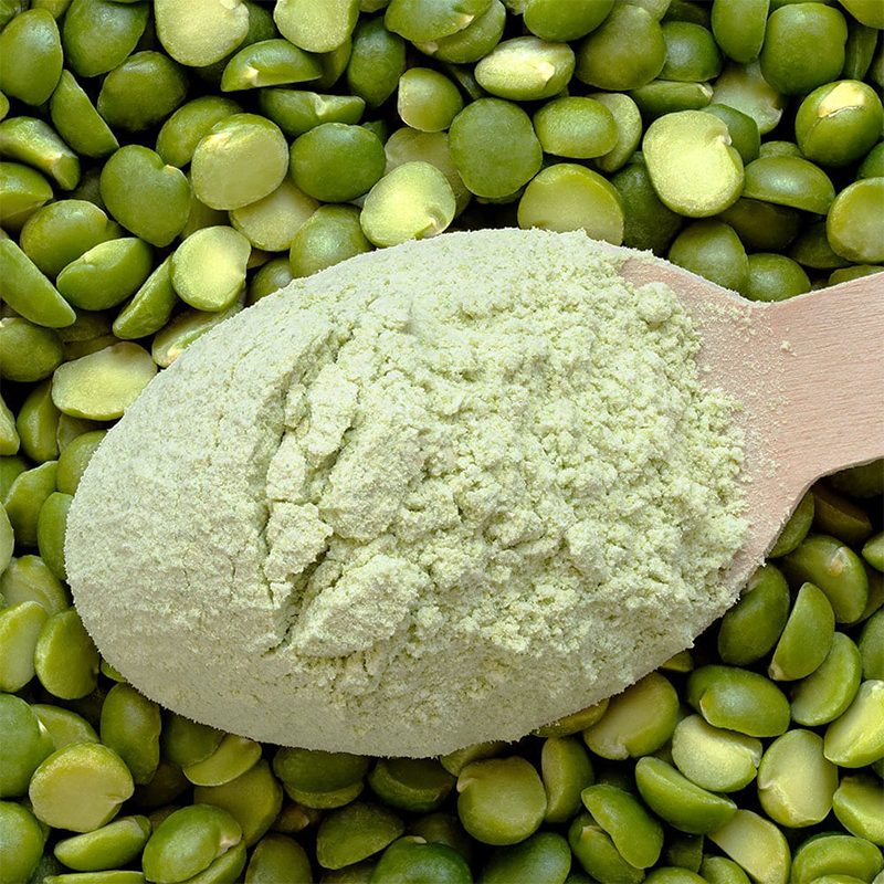 Mung Bean Protein Material Analysis