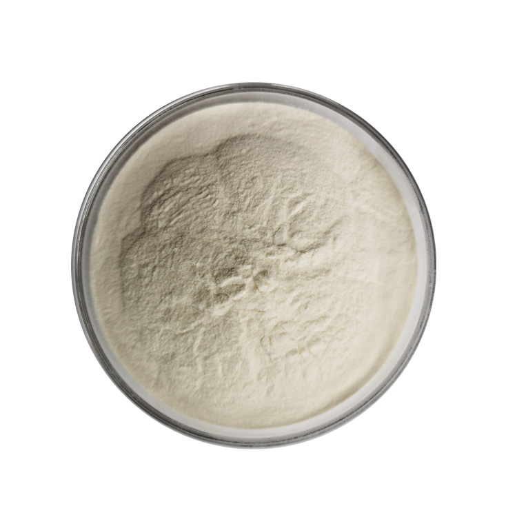 High Quality Food Grade Potato Protein and Starch Powder in Bottles and Drums Supply Included