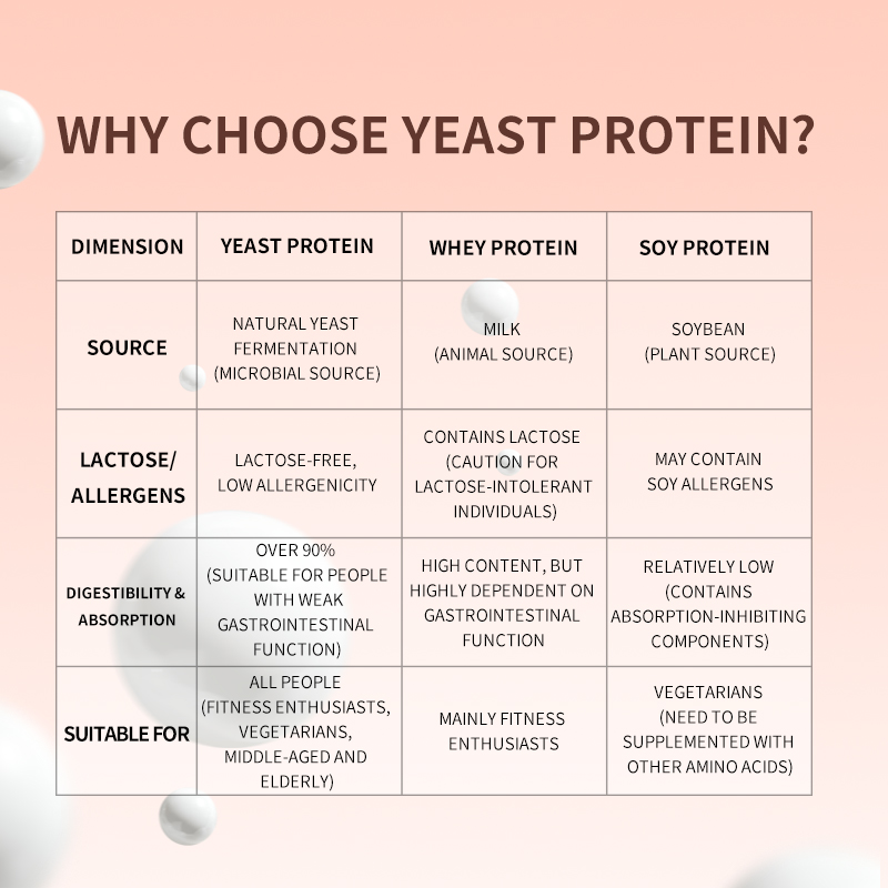 OEM/ODM 93% High Purity Yeast Protein Powder,Plant Based Protein Solid Drink for Vegan Gym Meal Replacement