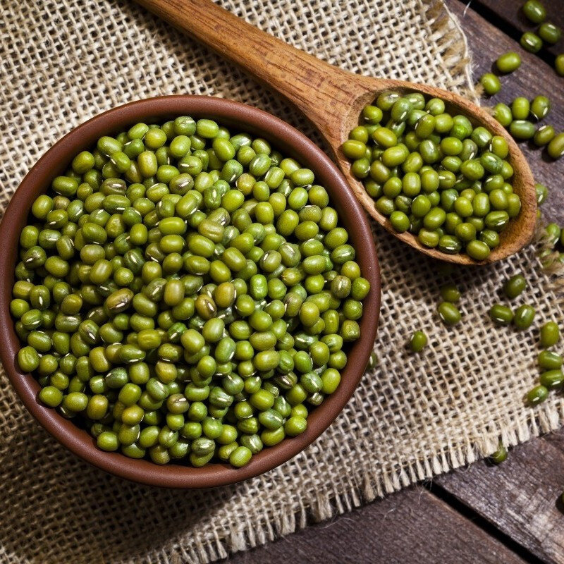 Mung Protein Isolate Wholesale Mung Bean Protein Isolate Organic 25kg