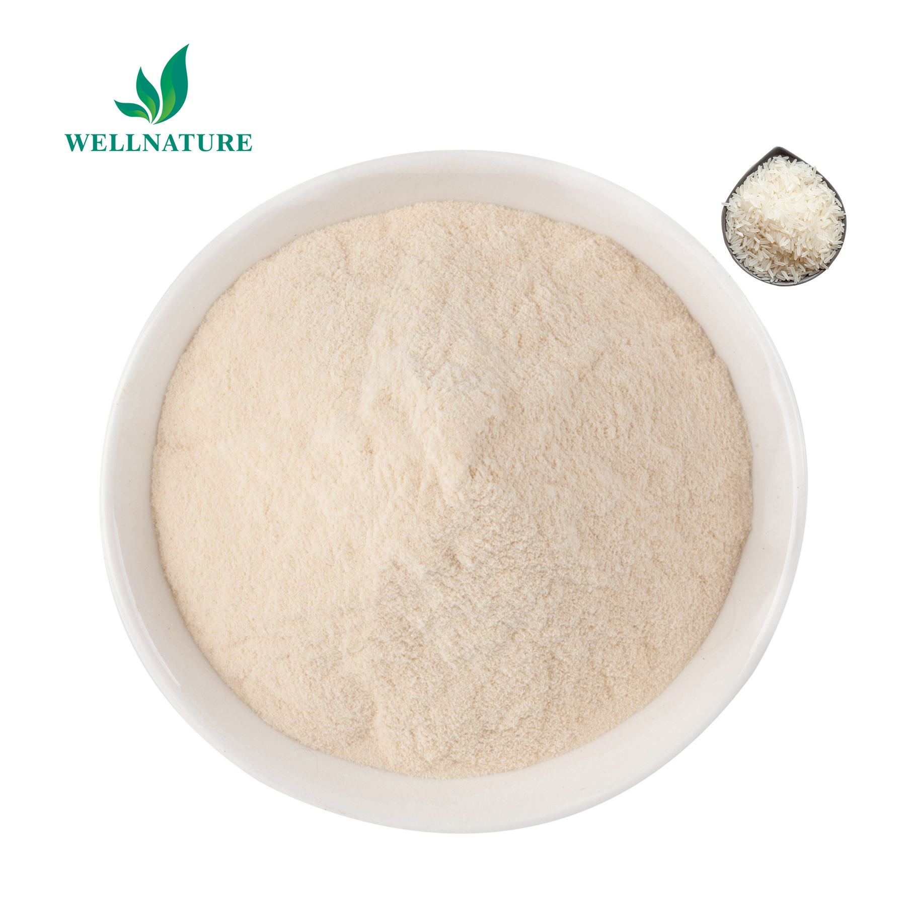 Factory Sale Vegan Protein Organic Protein Powder Rice Protein Powder