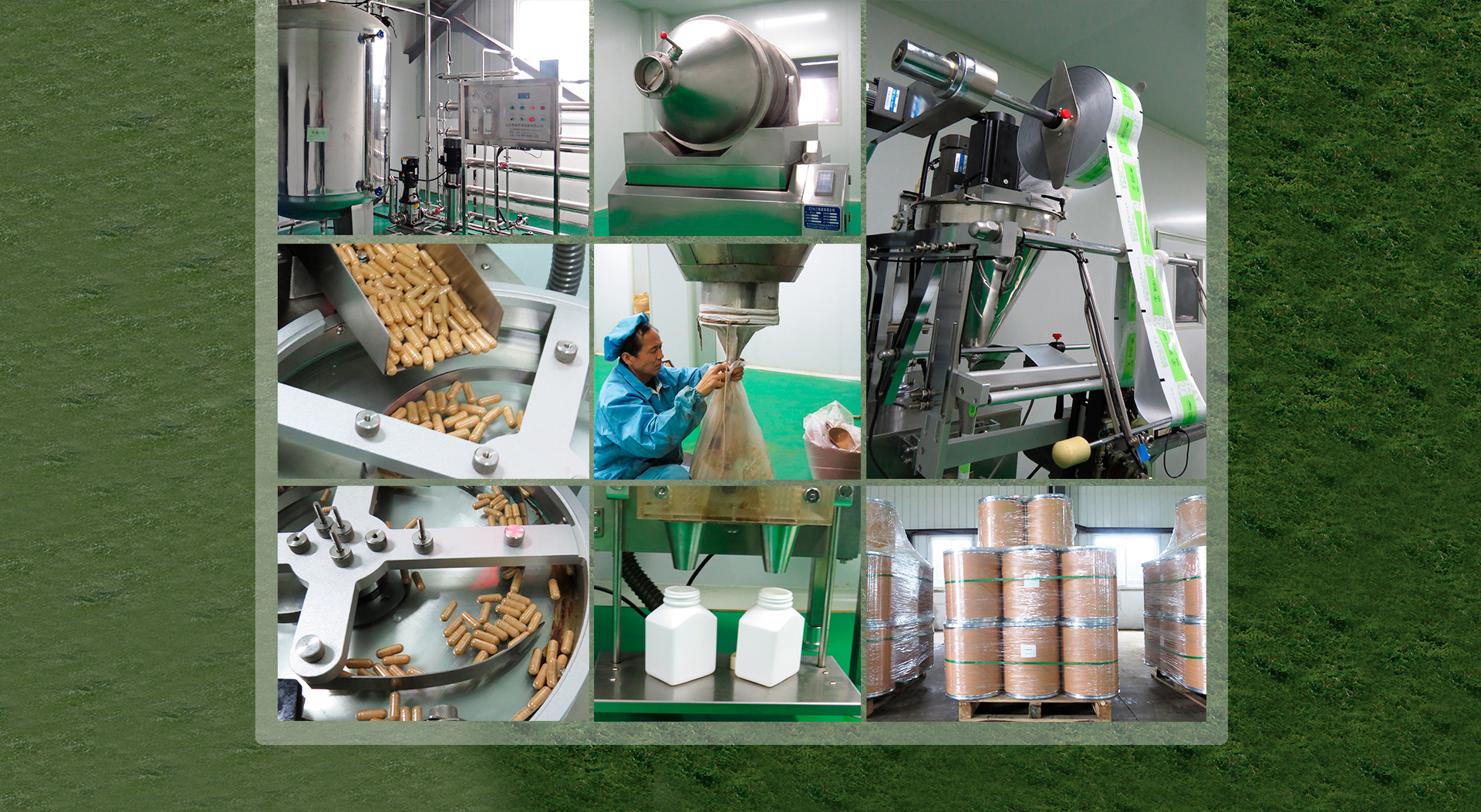 Ciyuan High Quality Natural Best Price Complete Proteins Rice Protein Powder