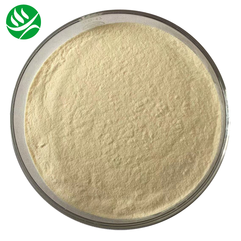 Factory Supply Food Grade Hydrolyzed Canola Protein Powder Hydrolyzed Canola Protein Isolate Powder