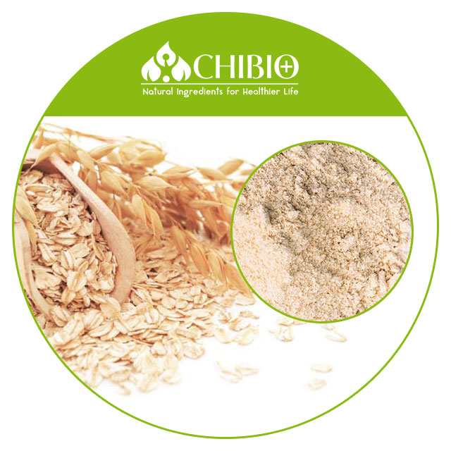 Factory Supply Organic Oat Protein Powder Bulk Price for Body Health Nutritional Food