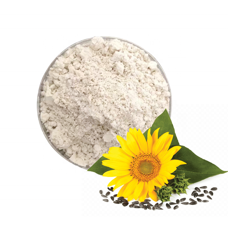 Organic Seed Protein Gluten Free Non-GMO Dairy Free Soy Sugar Free Low Carb Plant Based Sunflower Protein Powder