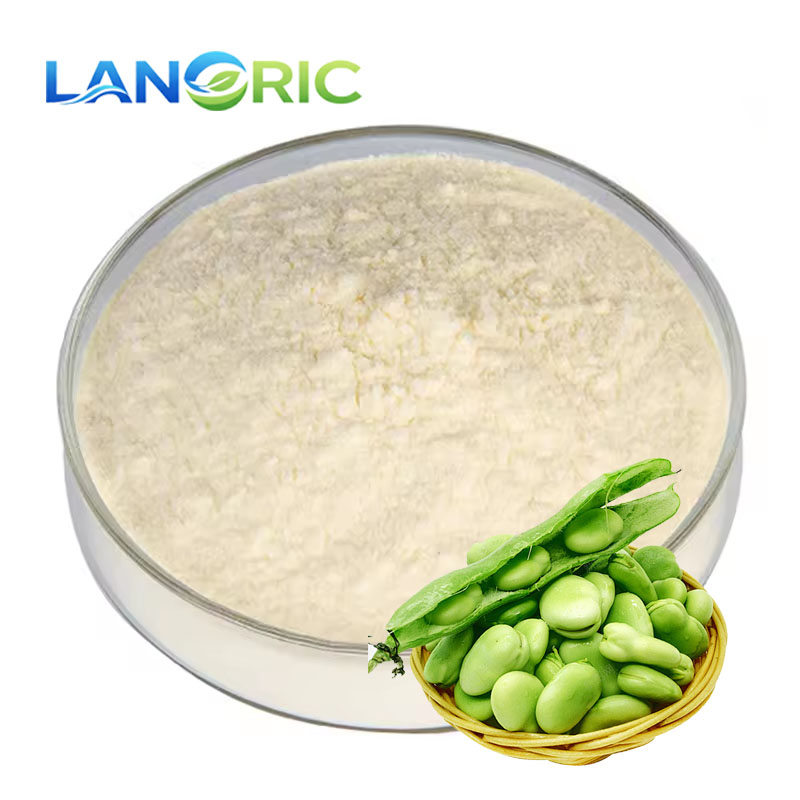 Fava Bean Protein Details