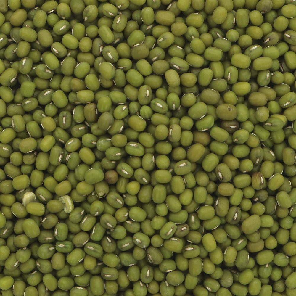 Natural Organic Non-GMO Premium Grade Green Mung Beans Dried Rich Source Protein Fiber Vacuum Pack Bulk NZ Origin 24-Month Shelf