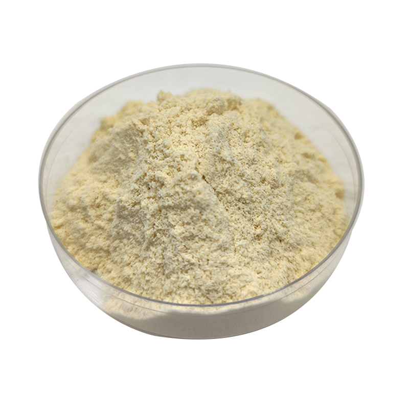 High Quality Hot Sale Vital Wheat Gluten Protein Hydrolyzed Wheat Protein Powder Wheat Protein Isolate