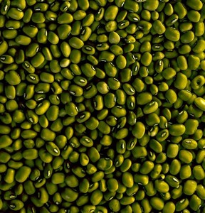 High Nutrient Farm Whole Mung Beans Rich in Protein Fiber Natural Green for Healthy Meal Prep Weight Management Diet Food