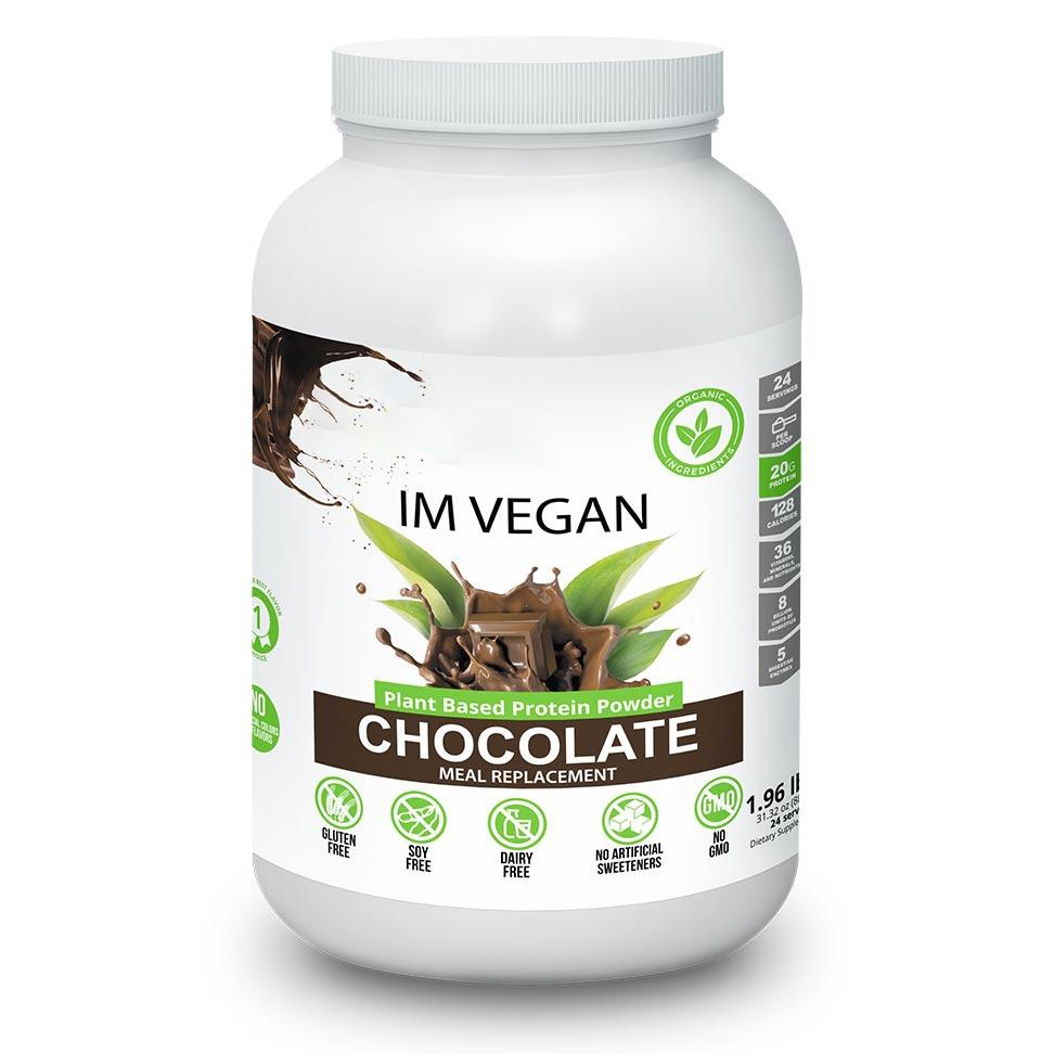 Organic Plant Based Protein Powder Raw Organic Vegan Protein Blend, 2.6 Pound, 30 Servings (Chocolate) Wholesale Private Label