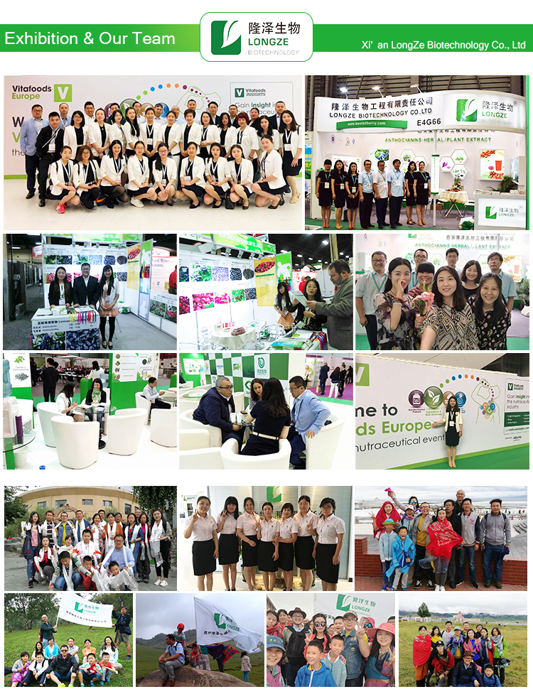 Exhibition Presence