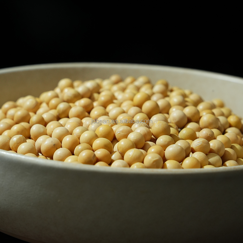 Nihewan Factory High Protein Soja Soya Beans Soy Beans