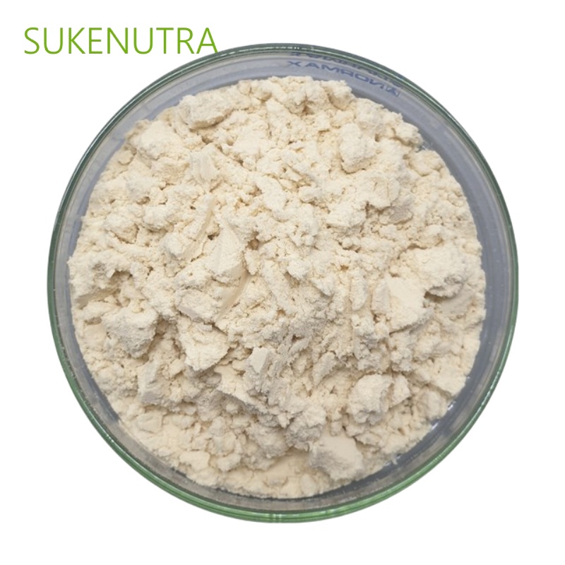 High Quality Chickpea Protein Isolate