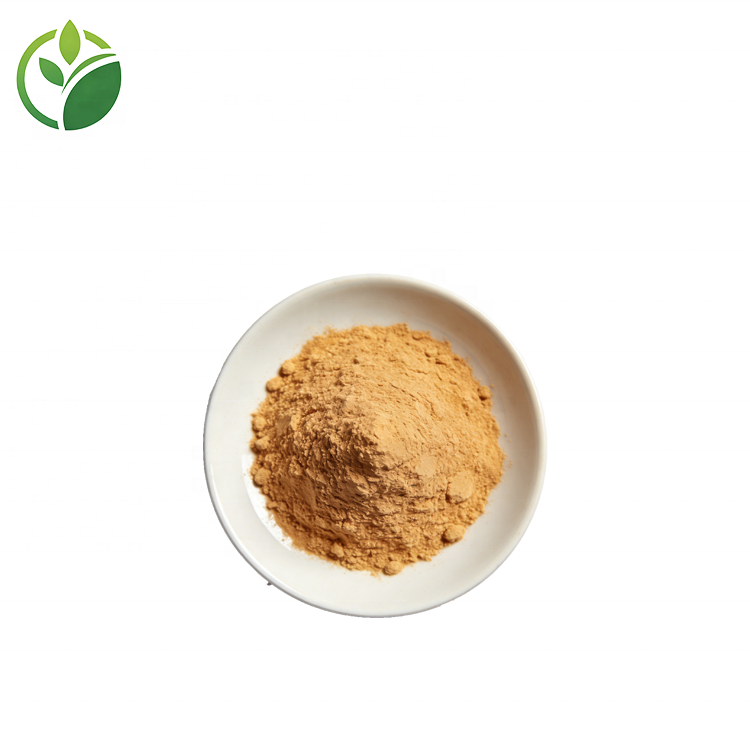 Supply High Quality Pure Natural Pumpkin Seed Extract Powder Pumpkin Seed Extract Cucurbitine Pumpkin Seed Protein