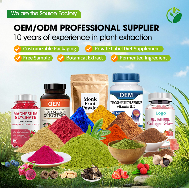 Pumpkin Seed Extract Powder Banner