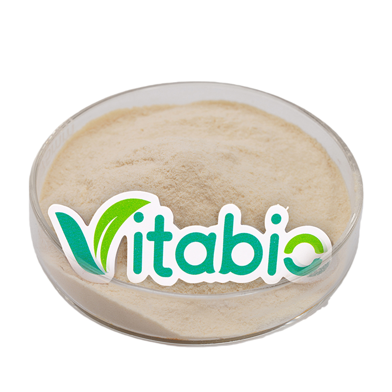 Food Grade Plant Protein 80% Hydrolysed Wheat Protein Powder Hydrolyzed Wheat Protein Powder