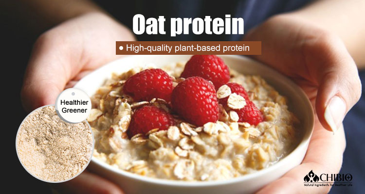 Oat Protein Application