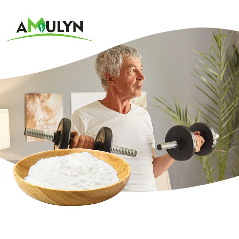 AMULYN Best Quality Chickpea Protein Powder Fitness Extract ISO Certified 2 Year Shelf Life