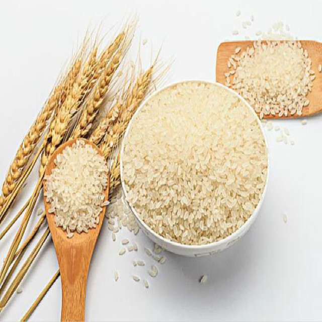 Food Grade GMP Natural Rice Protein Powder High Quality in Drum and Vacuum Packed Packaging