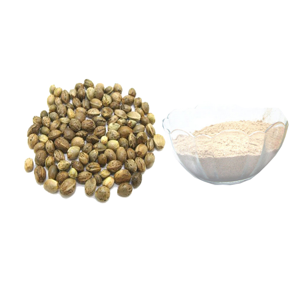 Natural Hemp Seed Protein Powder Hemp Protein Powder 50%-70%