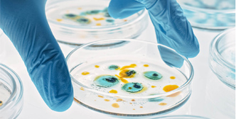 Microbial Fermentation Application