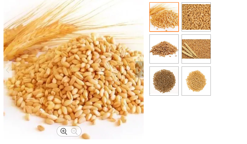 Wheat Grain Image 3