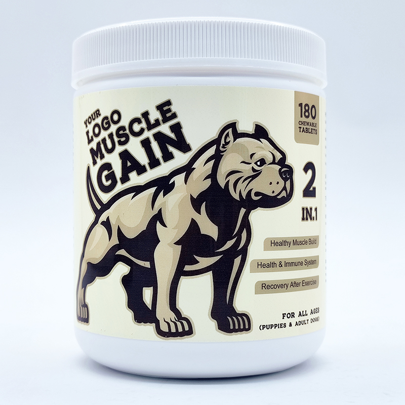 Muscle Gain 2