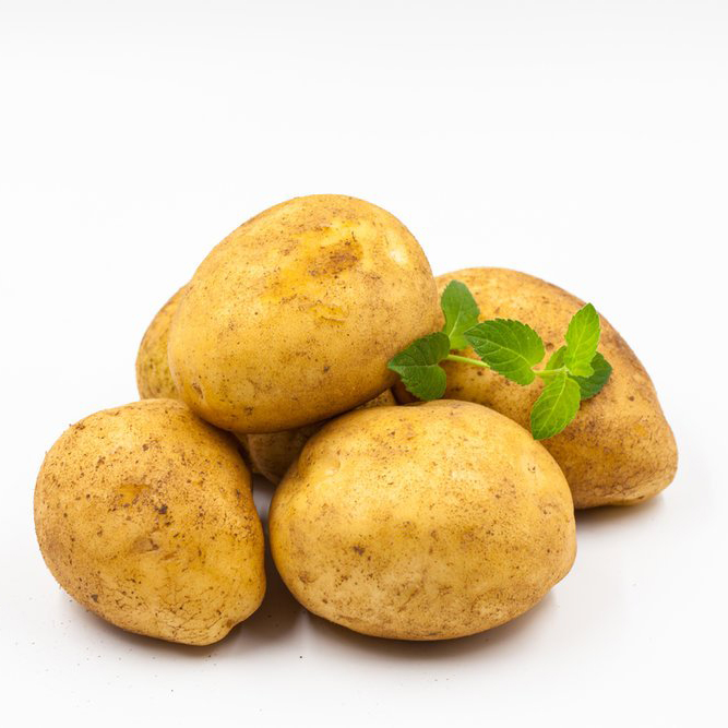 Natural 80% 50% Potato Protein Powder Pure Potato Protein Isolate Powder