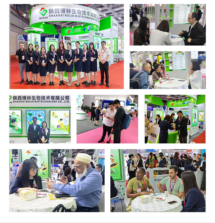 High Quality Food Grade 90% Soybean Peptide Soy Protein Isolate Powder