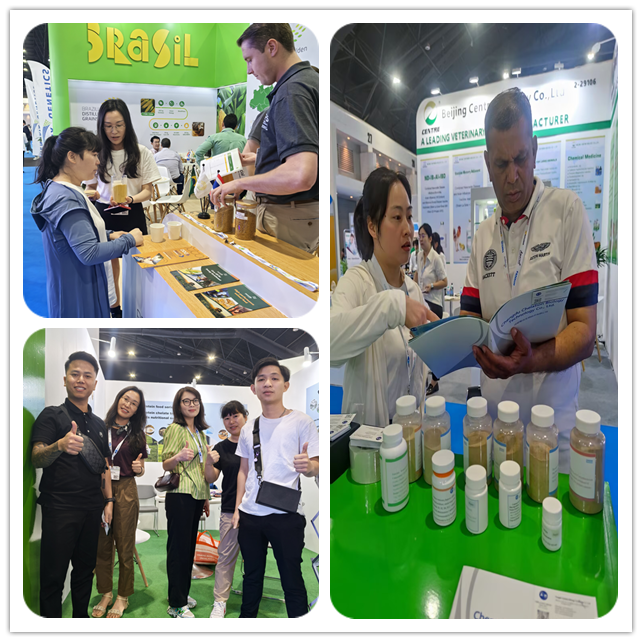 Fermentation Process Soy Protein Hydrolysate Powder with 50% Crude Protein in Animal Feed Applications