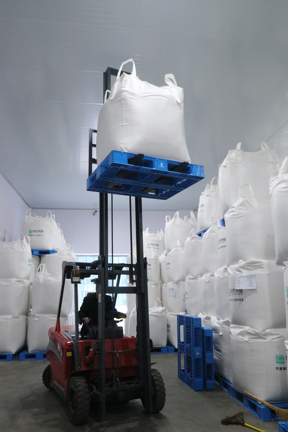 UltraStable Rice Protein Peptides Low Allergy Risk Food Grade Powder for Medical Nutrition Growing Milk Formula Antioxidant