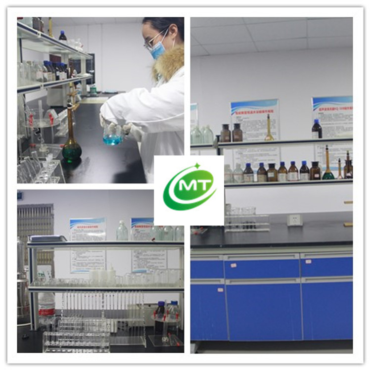 Production Line View