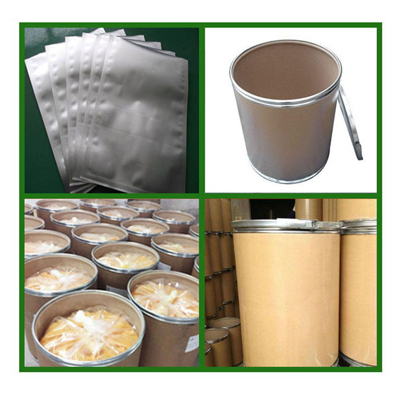 Factory Supply Food Grade Hydrolyzed Canola Protein Powder Hydrolyzed Canola Protein Isolate Powder