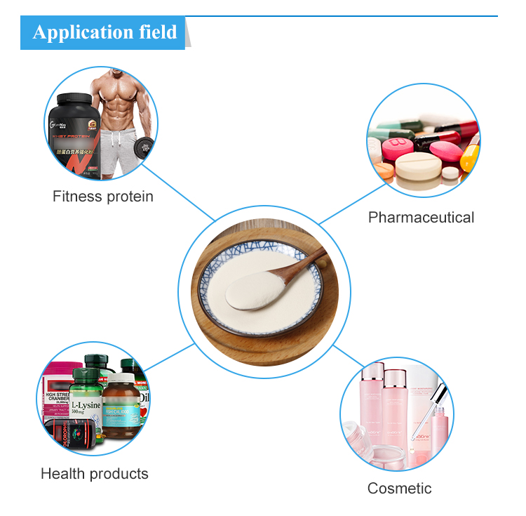 Cheap Small Molecule High Plant Protein Vegetable Base Soybean Soy Protein Peptide Raw Powder