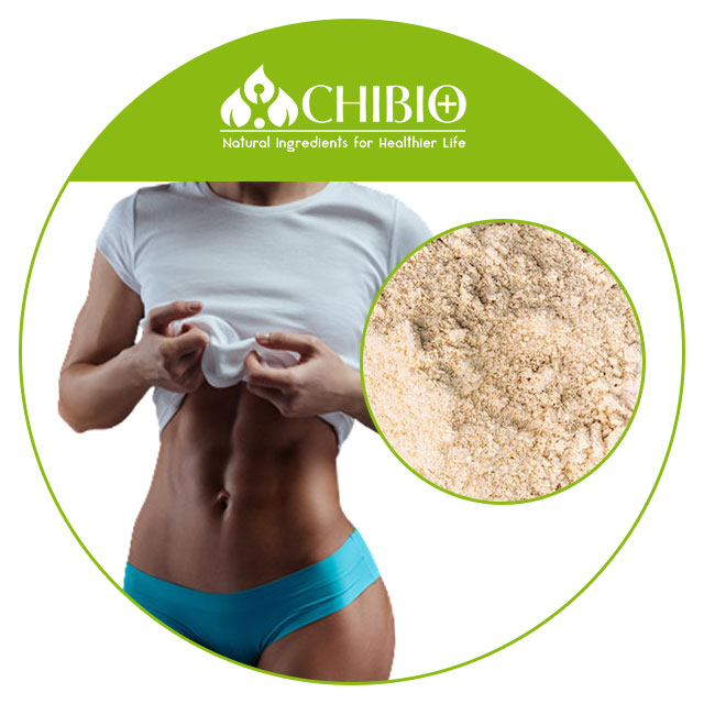Factory Supply Organic Oat Protein Powder Bulk Price for Body Health Nutritional Food