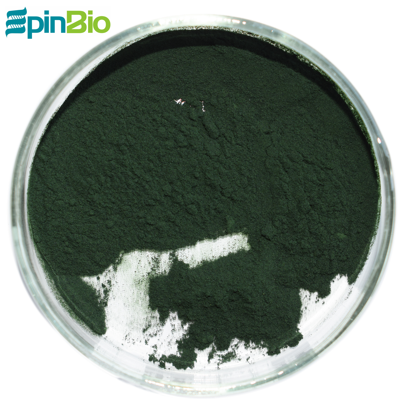 Wholesale 100% Natural Rich Protein 60%~70% Spirulina Powder