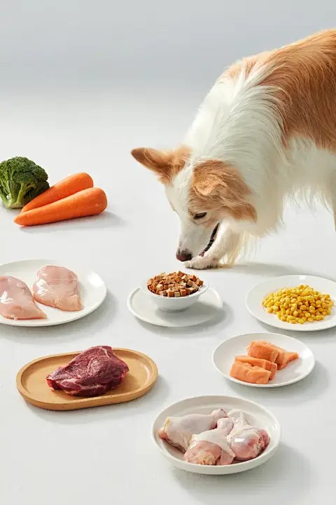 Food Processing Application