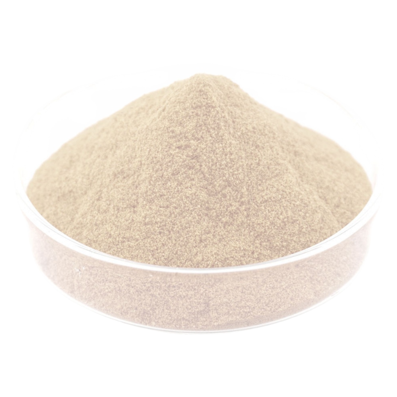 Food Grade Organic Chickpea Protein 80% Chickpea Protein Powder Chickpea Powder