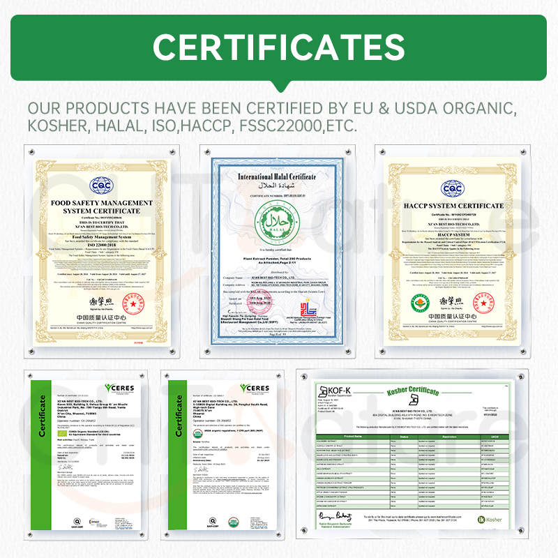 CHTNature Private Label Plant Brown Rice Pea Chia Seed Mung Bean Organic Vegan Protein Powder