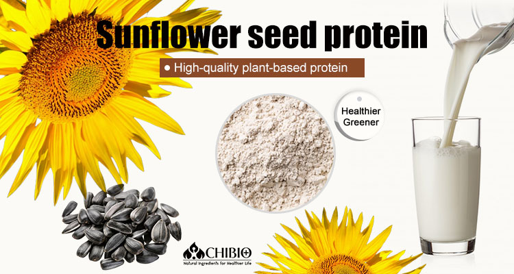 Sunflower Seed Powder Benefits