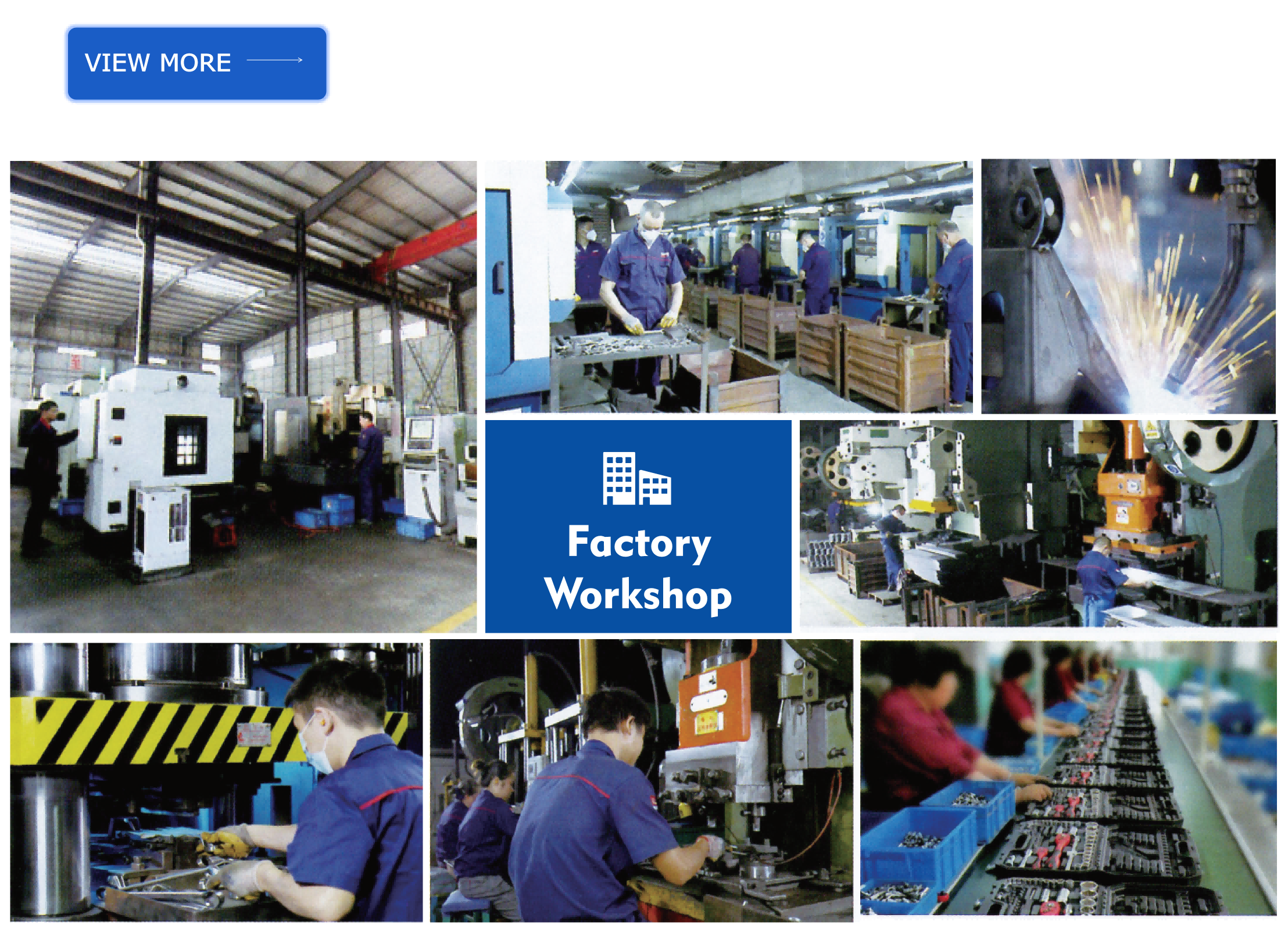 Company Profile Details