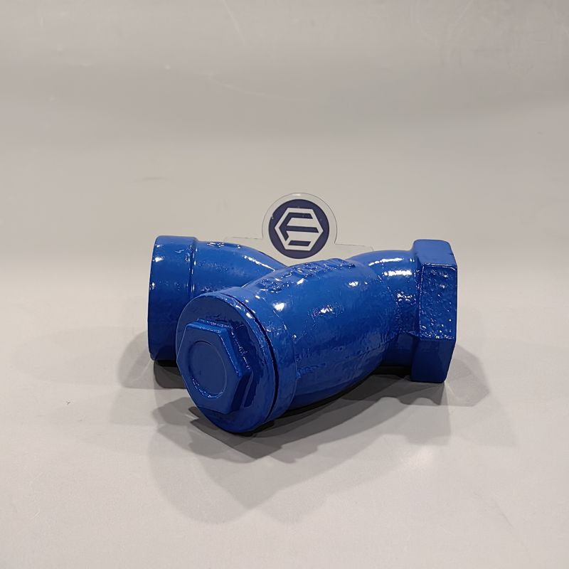Fluido Hot Sales CE Certificate JIS/DIN/BS/ANSI Ductile Iron Cast Iron Y Strainer